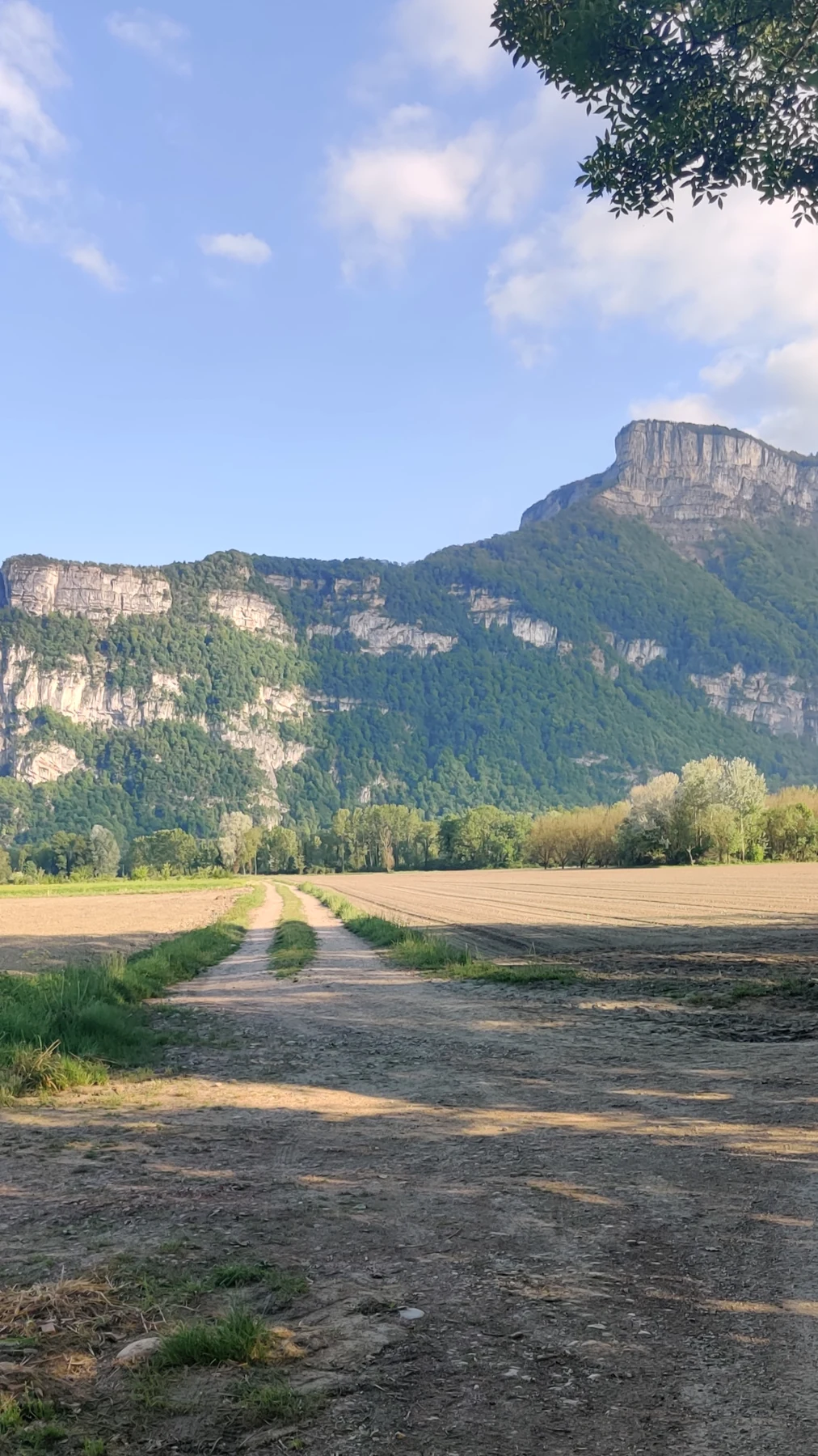 Chemin au pied d’un massif du Vercors